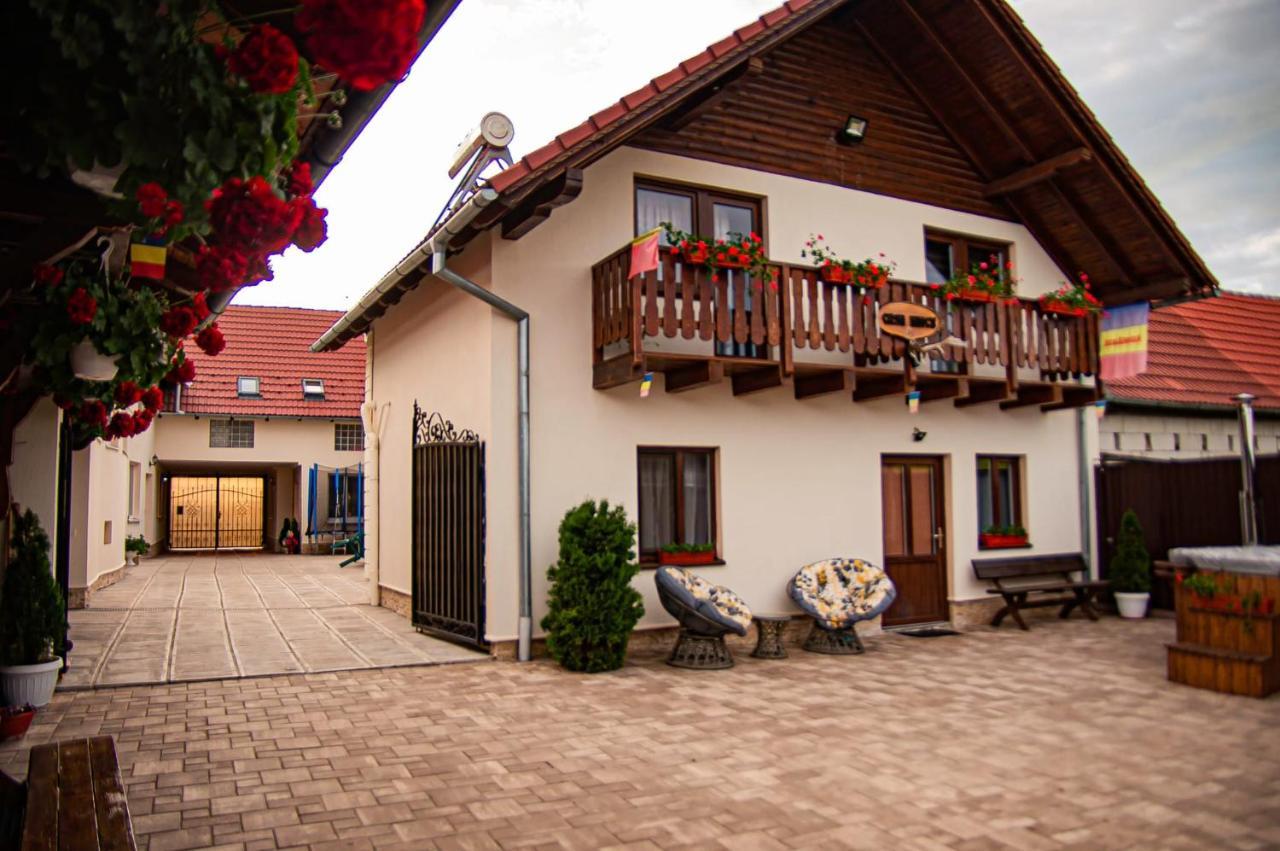 Casa Iancu Hotel Jina Buitenkant foto