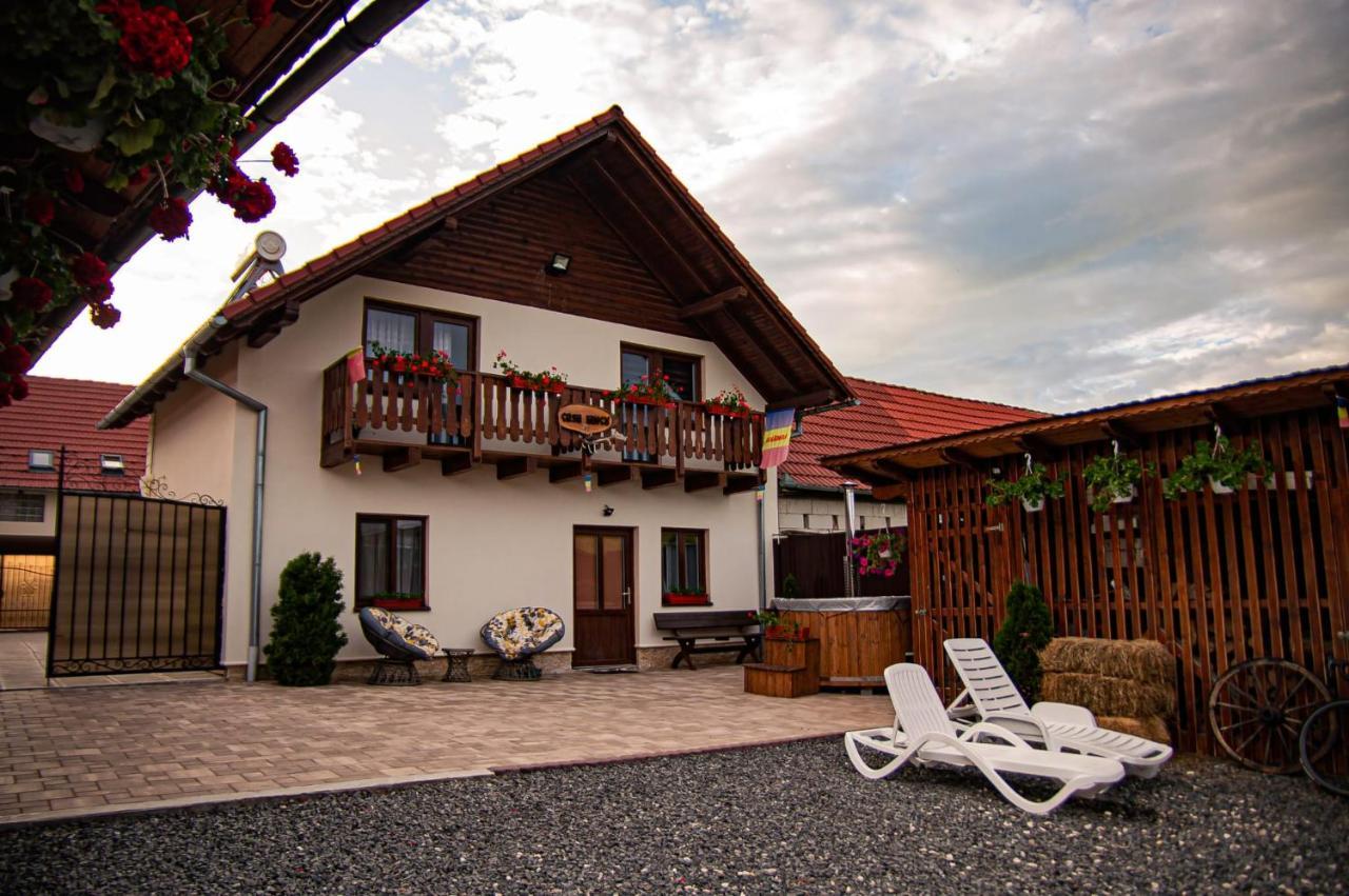 Casa Iancu Hotel Jina Buitenkant foto