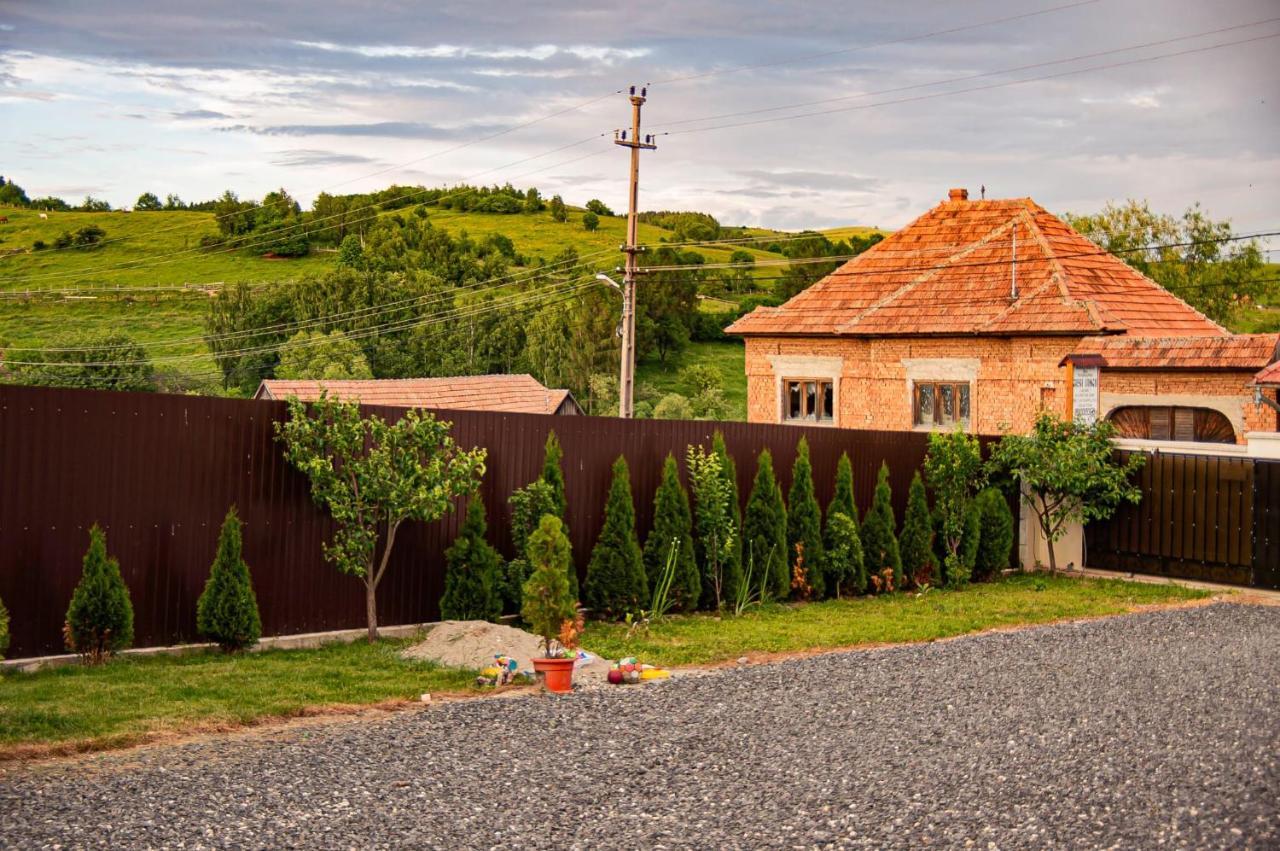 Casa Iancu Hotel Jina Buitenkant foto